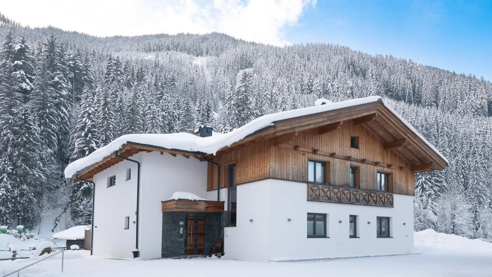 Appartements Salitererhof Saalbach Apartment